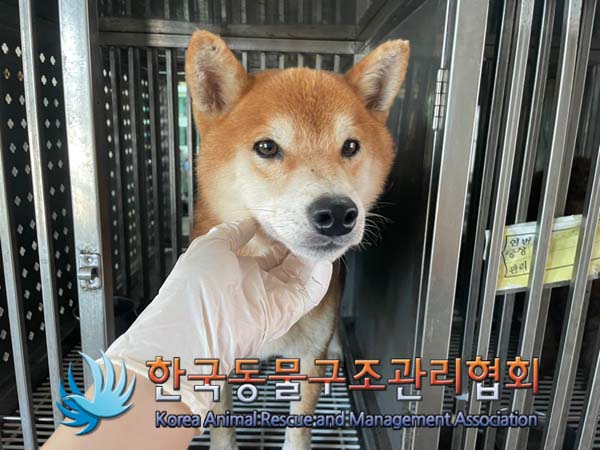 종료(반환) 시바의…